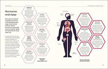 The Science of Sleep: Stop Chasing a Good Night’s Sleep and Let It Find You, фото 4