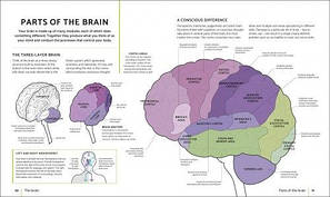 The Brain Fitness Book: Activities and Puzzles to Keep Your Mind Active and Healthy, фото 2