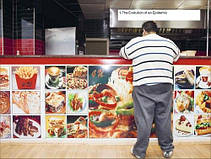 Is Our Food Killing Us? A Primer for the 21st Century Thames & Hudson, фото 4