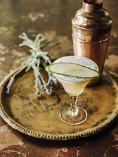 The Alchemist Cocktail Book: Master the dark arts of mixology, фото 5
