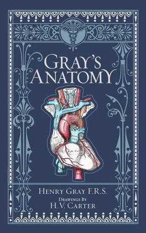 Gray's Anatomy Barnes & Noble, фото 1