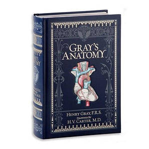 Gray's Anatomy Barnes & Noble, фото 3