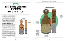 The World Atlas of Gin: Explore the gins of more than 50 countries, фото 3