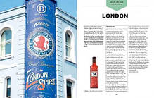 The World Atlas of Gin: Explore the gins of more than 50 countries, фото 4