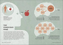 Simply Psychology, фото 6