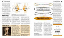 Big Ideas Simply Explained: The Chemistry Book, фото 6