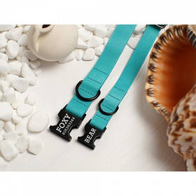 Нашийник для Собак Шкіряний ТМ BronzeDog Crazy з Металевою Пряжкою Ментол обхват шиї 38-49 см ширина 25мм