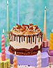 Crumbs and Doilies, фото 7