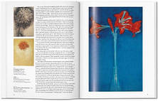 Basic Art: Mondrian, фото 3