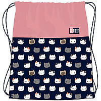 Сумка для змінного взуття "Cute Kitties"  SO-01 ST.RIGHT