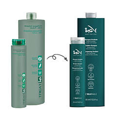 ING Treating Bivalent Shampoo — Бівалентний шампунь проти лупи для жирної шкіри голови ING 1000 мл.