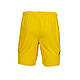 Чоловічі шорти Joma жовтий S AT102024A907 S, фото 2
