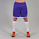 Чоловічі шорти Joma TOLEDO фіолетовий S 100006.550 S, фото 2