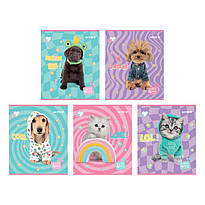 Зошит шкільний 24 аркуша лінія Kite Studio Pets SP24-239, 68195