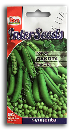 Насіння гороху «Дакота» 50 насінин, фото 2