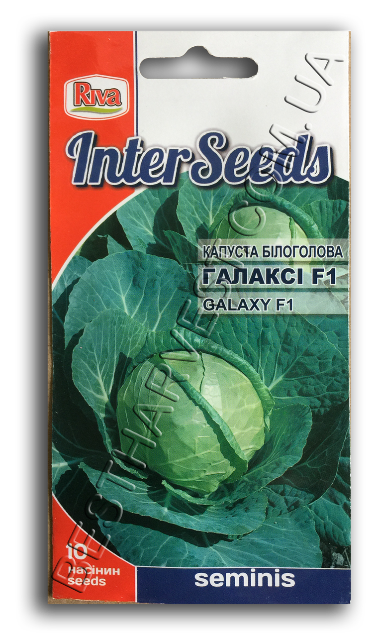 Насіння капусти Галаксі F1 10 насінин