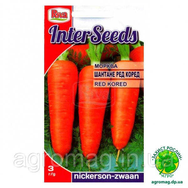 Морква Шантане Ред Коред 3г