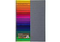 Зошит А4 80 арк спіраль клітинка пластик обкл Радуга Асорті, фото 2