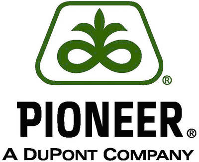 Насіння кукурудзи Pioneer ( Піонер )