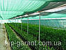 Сітка безпеки щільн. 215 г/кв. м, 1,9х50 м, HDPE.green, фото 5