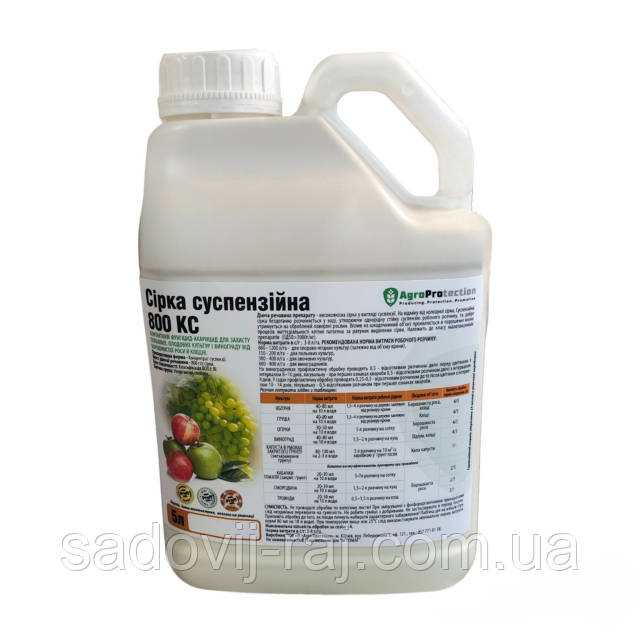 Warface-тен Аврораның порно фотосы