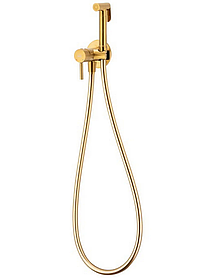 Змішувач для біде (гігієнічний душ) KFA ARMATURA MOZA BRUSHED GOLD 5039-512-31 прихований монтаж