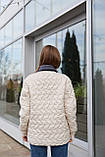 Жіноча демісезонна стьобана коротка куртка К-317 молоко, фото 6