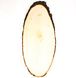 Картина на зрізі дерева Петриківський розпис ручної роботи 45x20 см РОЖЕВИЙ ПТАХ Український сувенір, фото 5