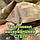 Тент чохол 3,2м піксель СТЕП камуфляж з еко-тканини для маскування автомобілів, об'єктів, техніки., фото 5