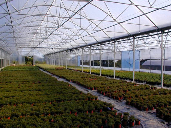 Багатошарова теплова плівка прозора Sotrafa Aster Plus 150 мкм 12 м, фото 1
