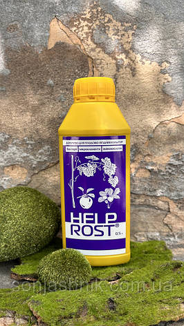 ХелпРост Плодово-Ягідні 500мл, фото 1