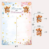 Плакат для гендер пати Хлопчик або дівчинка + наклейки 24 штуки