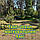 Тент чохол 4,8м піксель Хакі камуфляж з еко-тканини для маскування автомобілів, об'єктів, техніки., фото 6