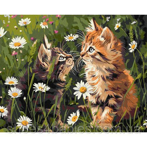 Картина за номерами "Котики в кольорах" 40х50 см