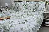 Постільна білизна ранфорс R-T9274, фото 3
