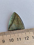 Лабрадор трикутник камінь без оправи. Кабошон натуральний лабрадор голова риби 26*22.5*5 мм. Індія., фото 6