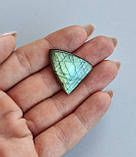 Лабрадор трикутник камінь без оправи. Кабошон натуральний лабрадор голова риби 26*22.5*5 мм. Індія., фото 5