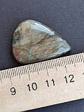 Лабрадор крапля камінь без оправи. Кабошон натуральний лабрадор 34*26*7,5 мм. Індія., фото 6