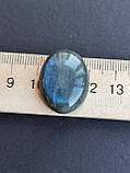 Лабрадор овал камінь без оправи. Кабошон натуральний лабрадор 25*19*8 мм. Індія., фото 4