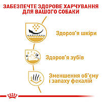 Сухий корм для дорослих собак породи Ши-тцу ROYAL CANIN SHIH TZU ADULT 1.5 кг, 1.5 кг, фото 5