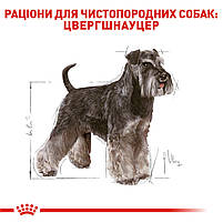 Сухий корм для дорослих собак породи цвергшнауцер ROYAL CANIN SCHNAUZER ADULT 7,5 кг, 7,5 кг, фото 3