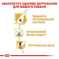 Сухий корм для дорослих собак породи цвергшнауцер ROYAL CANIN SCHNAUZER ADULT 7,5 кг, 7,5 кг, фото 5