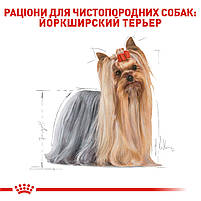 Корм для дорослих собак породи Йоркширський тер'єр ROYAL CANIN YORKSHIRE ADULT 1.5 кг, фото 3