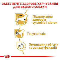 Корм для дорослих собак породи Такса ROYAL CANIN DACHSHUND ADULT 1.5 кг, 1.5 кг, фото 5