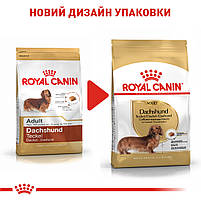 Корм для дорослих собак породи Такса ROYAL CANIN DACHSHUND ADULT 1.5 кг, 1.5 кг, фото 6