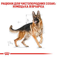 Корм для дорослих собак породи Німецька Вівчарка ROYAL CANIN GERMAN SHEPHERD ADULT 11.0 кг, 11 кг, фото 3