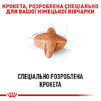 Корм для дорослих собак породи Німецька Вівчарка ROYAL CANIN GERMAN SHEPHERD ADULT 11.0 кг, 11 кг, фото 4