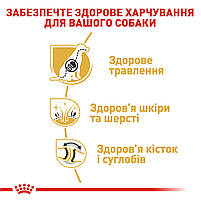 Корм для дорослих собак породи Німецька Вівчарка ROYAL CANIN GERMAN SHEPHERD ADULT 11.0 кг, 11 кг, фото 5