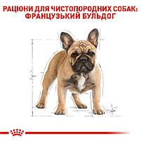 Корм для дорослих собак породи Французький бульдог ROYAL CANIN FRENCH BULLDOG ADULT 3.0 кг, фото 3