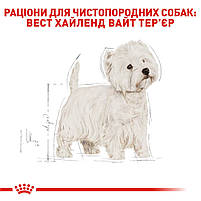 Корм для дорослих собак породи Вест-Хайленд-Уайт-тер'єр ROYAL CANIN WESTIE ADULT 3.0 кг, 3 кг, фото 3